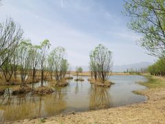 -野鸭湖国家湿地公园