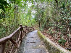 -海南热带雨林国家公园吊罗山景区