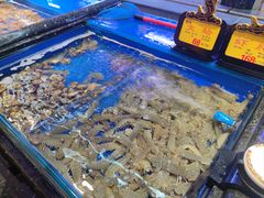 水产区-万宝海鲜舫(劳动公园店)