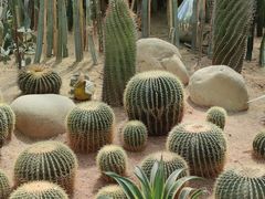 -祥源·阜阳生态乐园