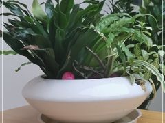 -Jungle Nat 高空餐厅