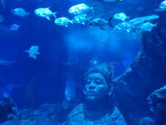 -暹罗海洋世界
