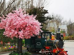 -南宫五洲植物乐园