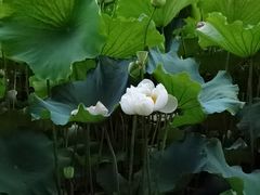 -黄兴公园