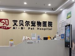 -艾贝尔宠物医院·宠保定点·超声绝育·免疫点(樱花路店)