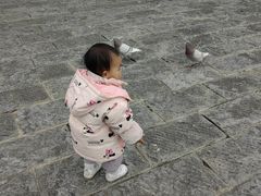 -羊楼洞