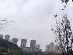 -重庆彩云湖湿地公园