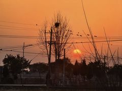 -绿篮子(寿春路店)