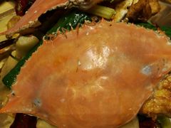-胡桃里音乐酒馆(石家庄店)