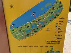 -长白岛森林公园