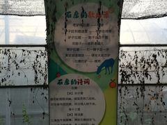 -前小桔亲子创意农场·草莓采摘·露营烧烤