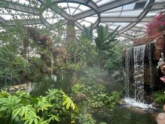 -昆明植物园