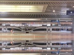 -黑色经典臭豆腐·湖南特产(太平街口店)