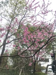 -东航云逸酒店·宴会厅