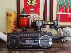 -谢氏老金口渔村(王家墩店)