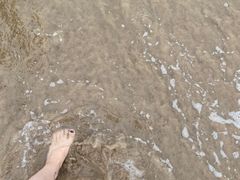 -南戴河旅游度假区
