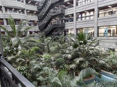 -黑龙江中医药大学附属第一医院