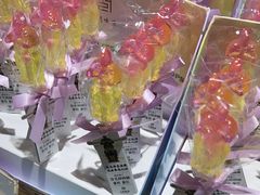 -上海环球金融中心骑迹50年环球之旅