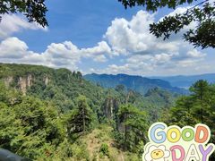 -张家界天门山国家森林公园