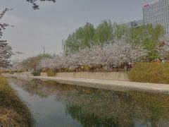 -元大都城垣遗址公园