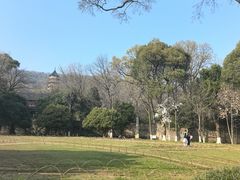 -灵谷景区