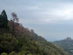 -莫干山风景区