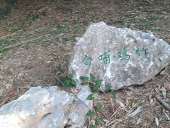 -杭州植物园
