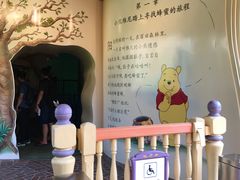 游乐设施-上海迪士尼度假区