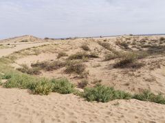-黄沙古渡原生态旅游区