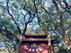-普陀山风景名胜区-法雨禅寺