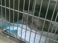-半岛宠物医院24小时(科华中路店)
