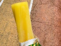 -洋洋爸雪糕(万科店)