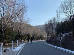 -青藏高原野生动物园