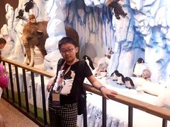 -济州岛泰迪熊博物馆