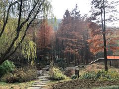 -宝界山林公园