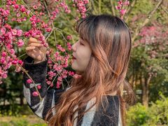 -秀丽东方