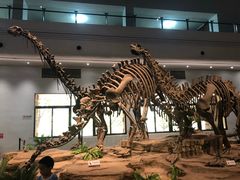 -自贡恐龙博物馆
