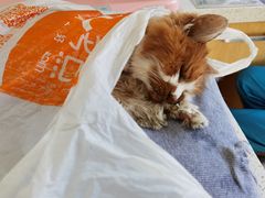 -美联众合动物医院·24h京西诊疗中心