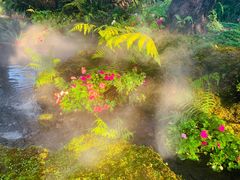 -Chom Cafe and Restaurant