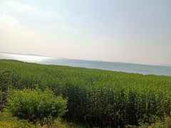 -东山风景区(洞庭东山)