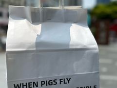 -WHEN PIGS FLY当猪飞
