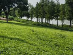 -怡海公园(桂城街道)