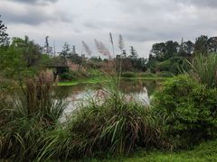 -桤木河湿地公园