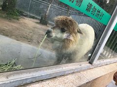 -水绘园