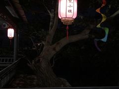 -凤凰小镇·徐州特色菜(凤凰岭店)