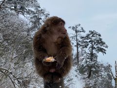 -峨眉山风景名胜区