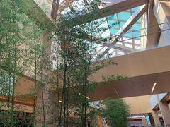 -津门红姐熟梨糕茶汤糕干(爱国道店)