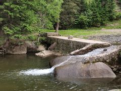 -芦芽山旅游度假区