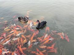 -春晖园度假酒店温泉