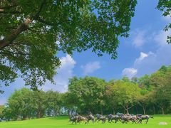 -广州雕塑公园